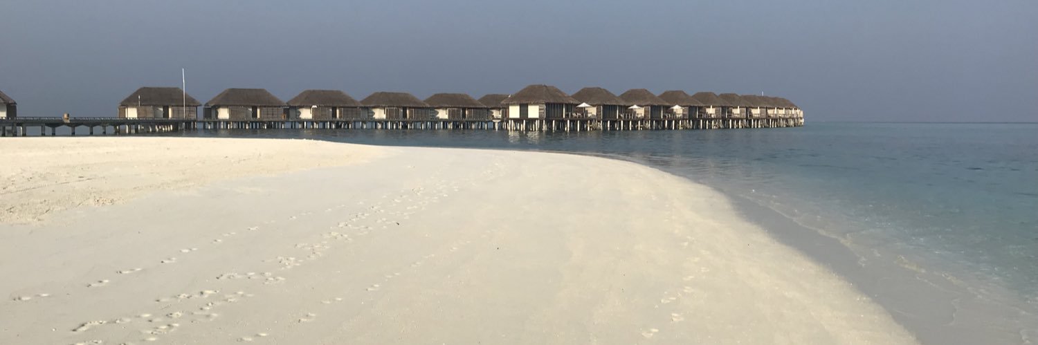 Marcie Dunbar banner