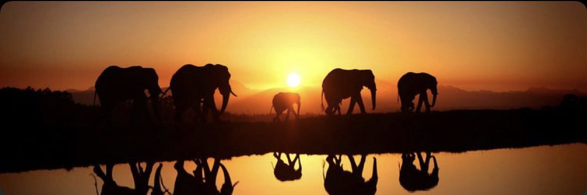 UH HUH HONEY 🦋 banner