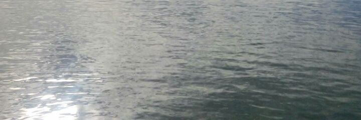 foreversharie's profile banner image