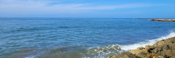 sandri10cer Profile Banner