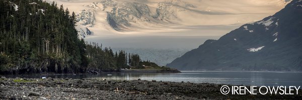 PWSSF Profile Banner