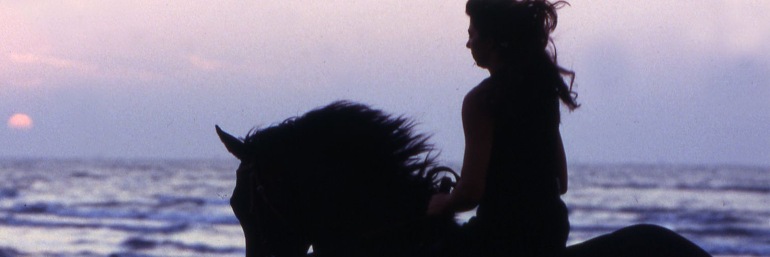 RobertaX2's profile banner image