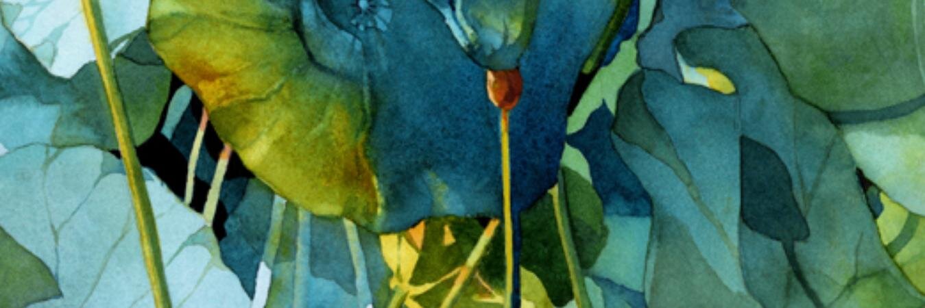 auralaysays's profile banner image