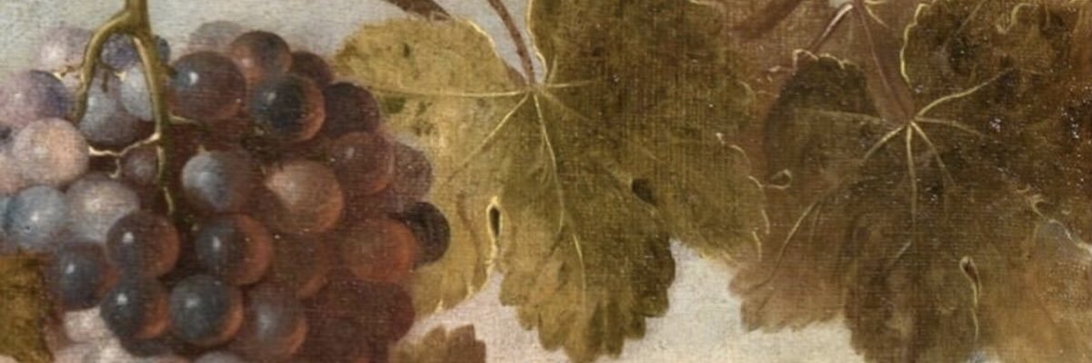 nenocha's profile banner image