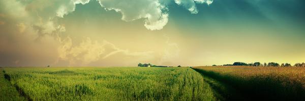 TopGlobalGurus Profile Banner