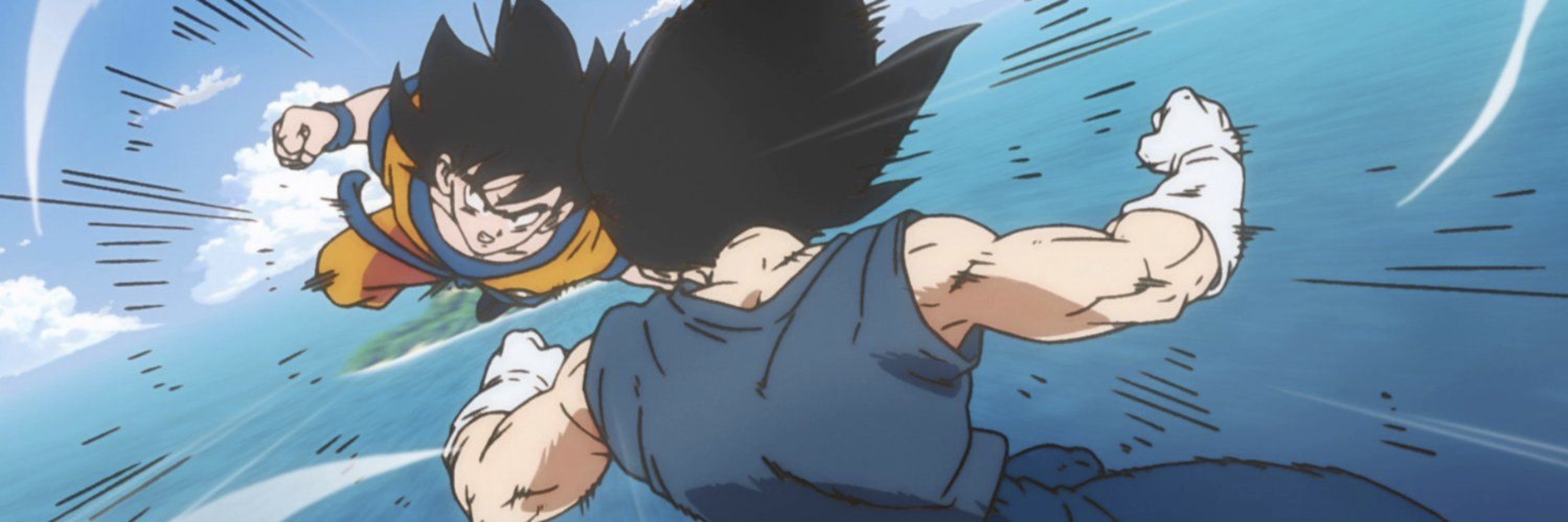 Armas banner