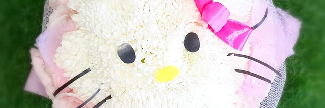 NickyClara's profile banner image