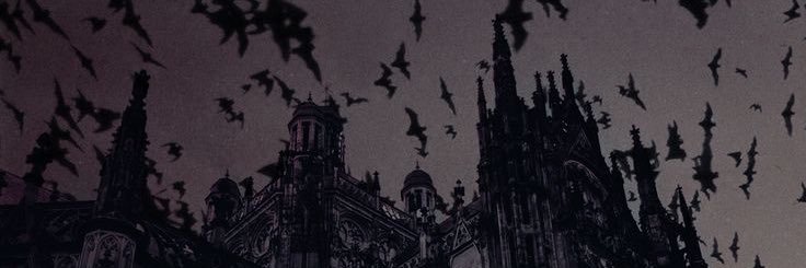 omggemil's profile banner image