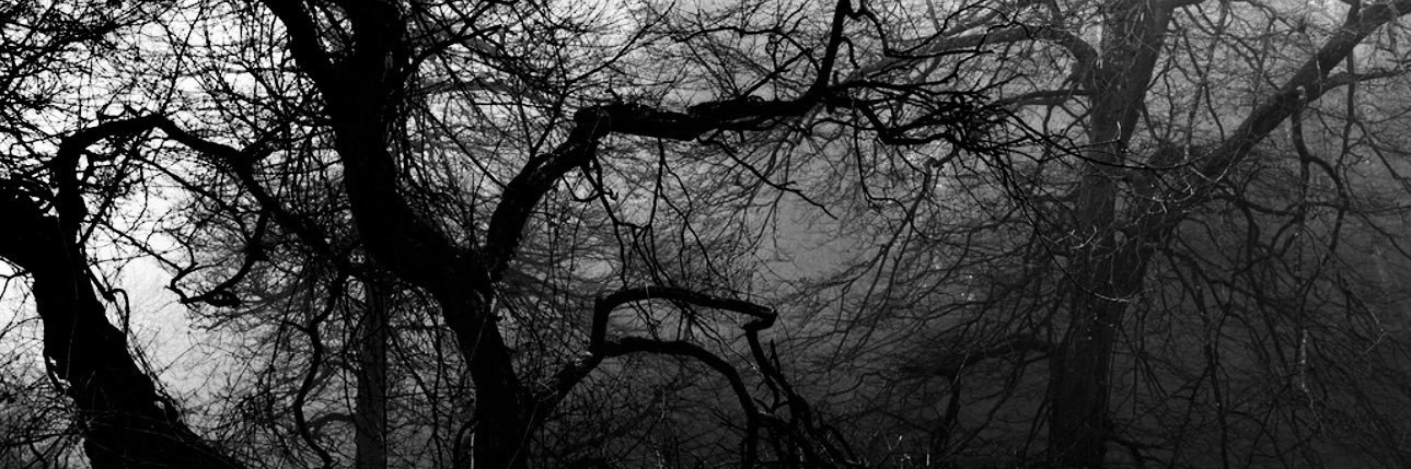 sie_magg's profile banner image