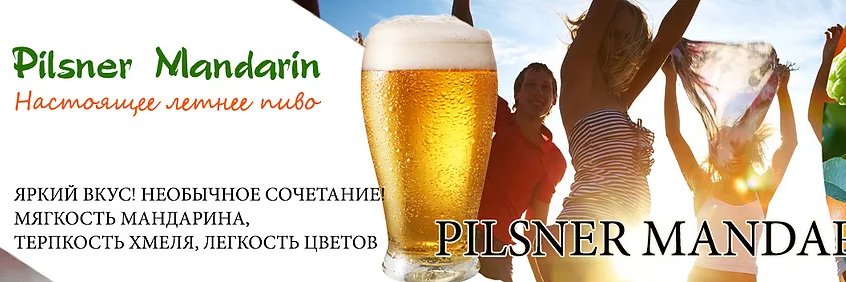 dsalchow's profile banner image
