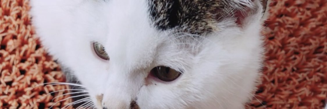 ぴえん banner