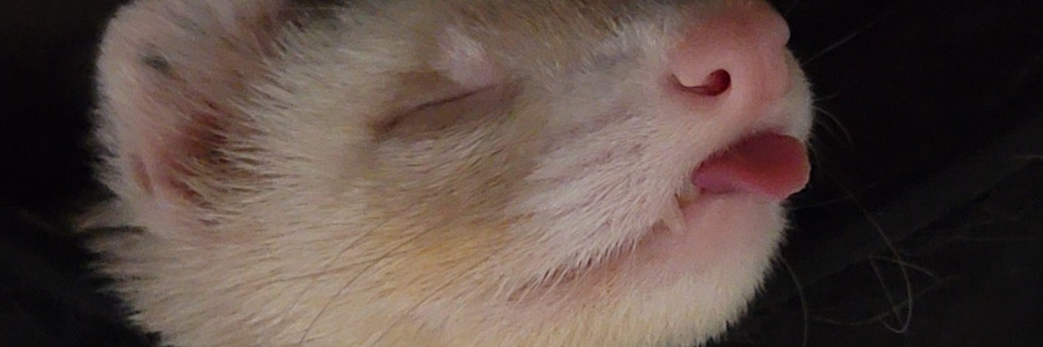 BishopRake's profile banner image