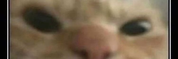 Proplayer3185 banner