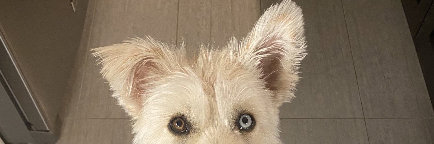 padysmads's profile banner image
