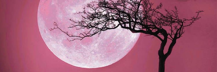pratamaiwan_'s profile banner image