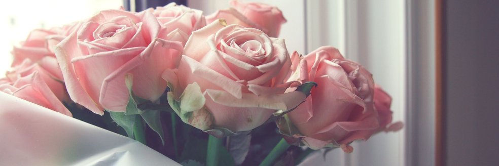 ahhadiyah's profile banner image
