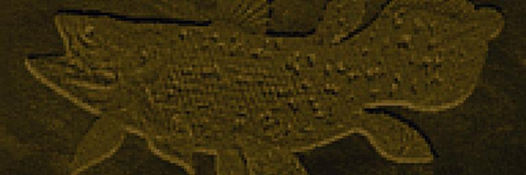 imochan512's profile banner image