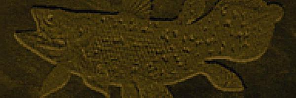 imochan512 Profile Banner