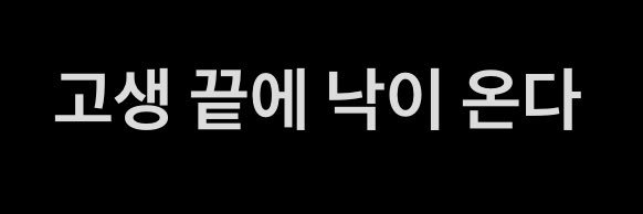 Dr Pr⭕fit's banner