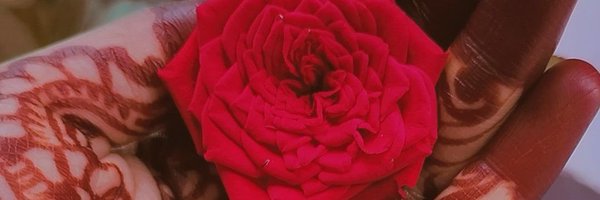Meeeramehta3 Profile Banner