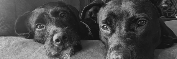 jmesmcc Profile Banner