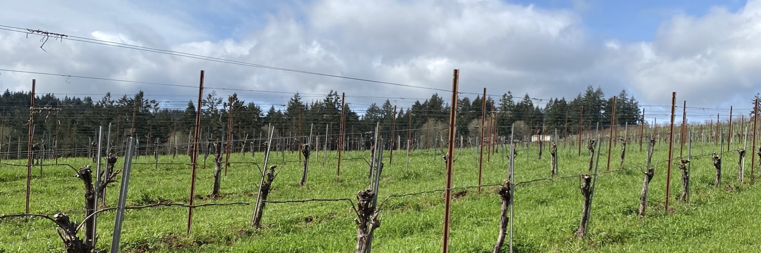 oregoncorkdork's profile banner image
