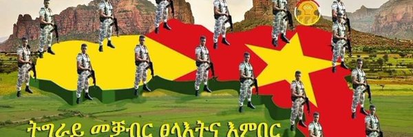 FerwiniB Profile Banner