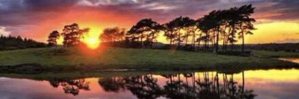 SimonHannah1 Profile Banner