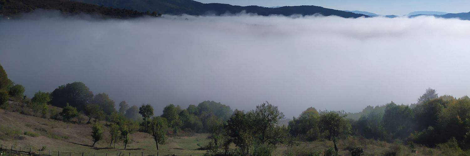 sezercalisgan's profile banner image