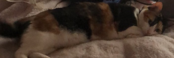 Meagan banner