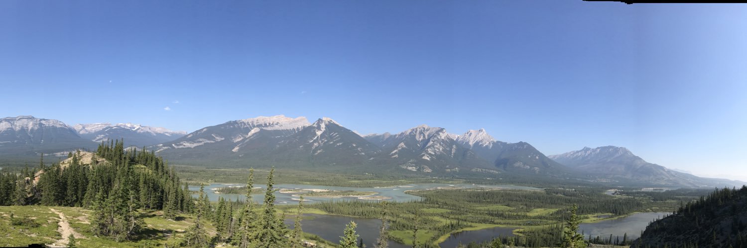 Terry Calvert banner