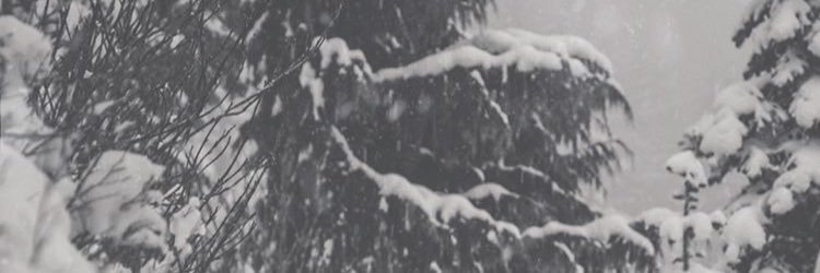Rehl_Jensen's profile banner image