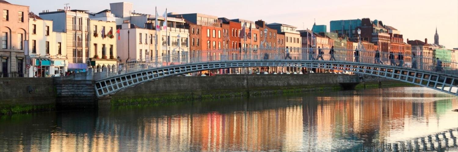 Dublin Litter Blog banner