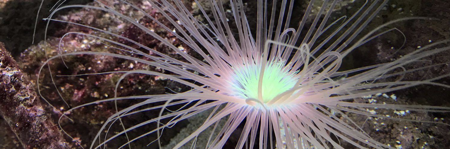 javier jimenez banner