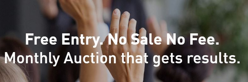 Agents Property Auction banner