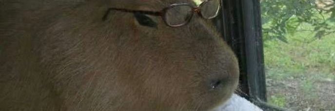 arnocostermans's profile banner image