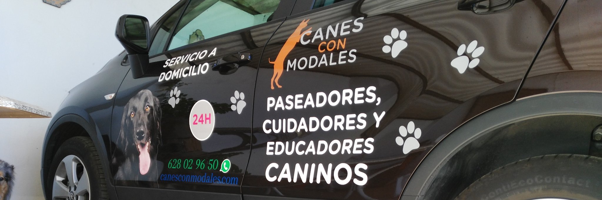 Canes con Modales® banner