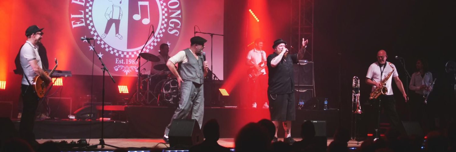 El Bosso & Die Ping Pongs banner