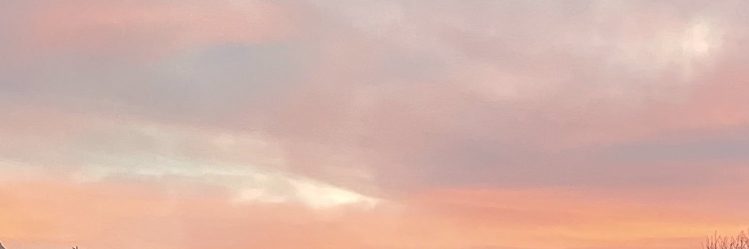 Littlewolfiewo1's profile banner image