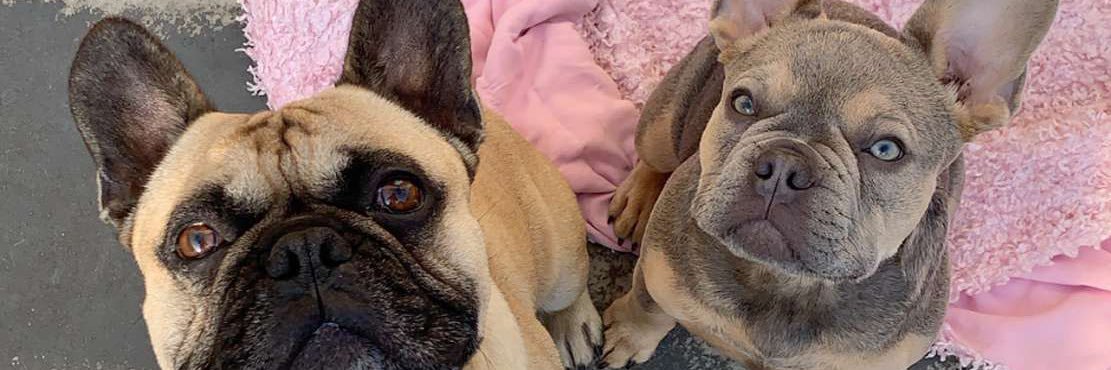 Calvin Thomson banner