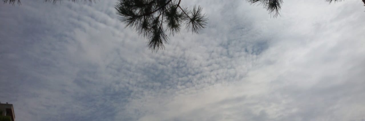 AlNehfawi's profile banner image
