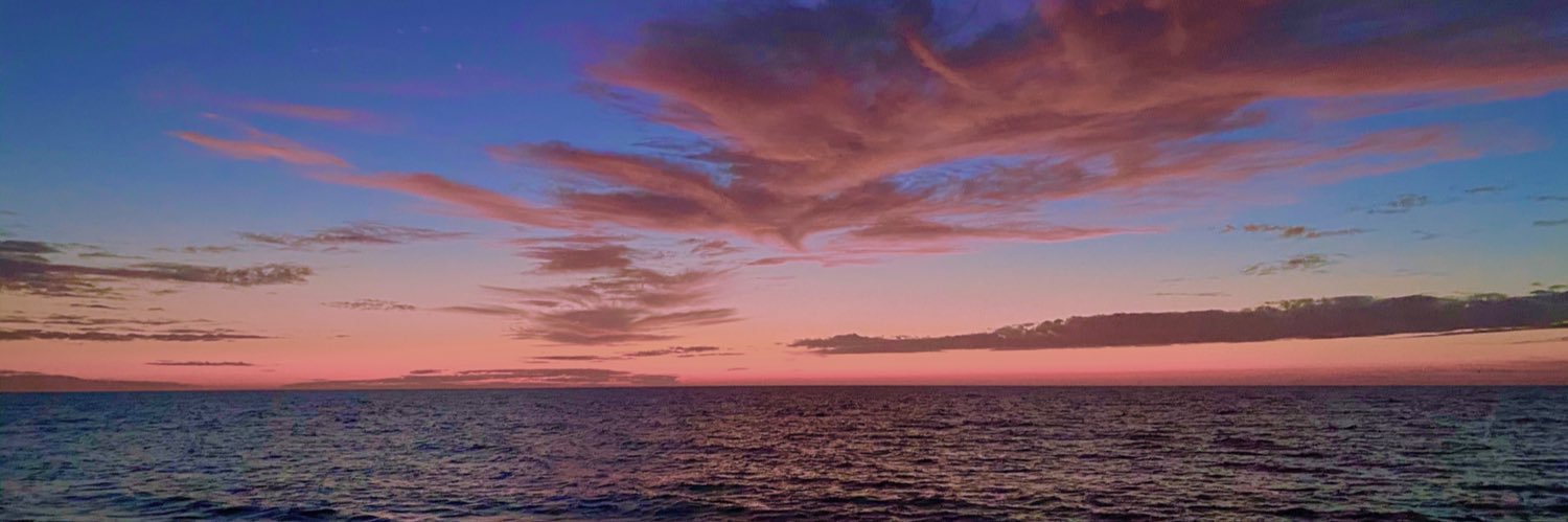 AmeliaRenaud's profile banner image