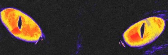 FreshSergio_'s profile banner image