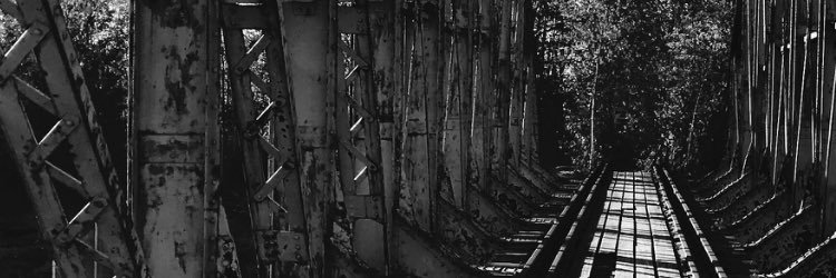 AriSakari's profile banner image