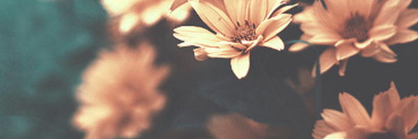 Thida7a Profile Banner