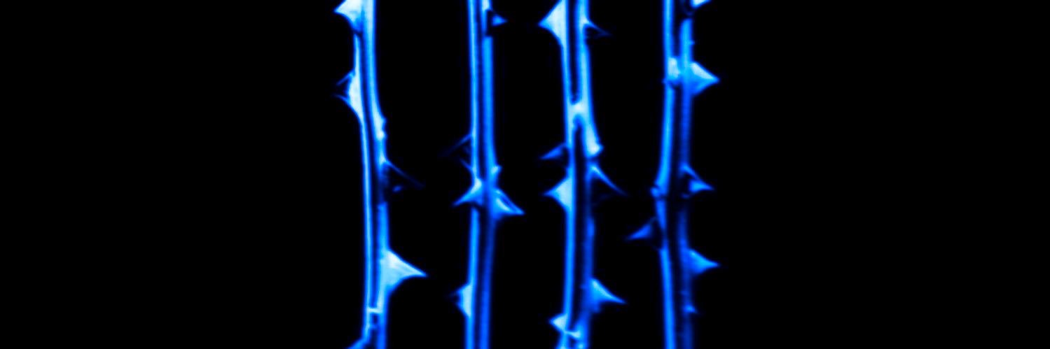 thing 2 banner