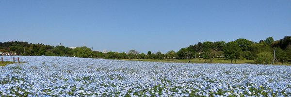 androhi Profile Banner