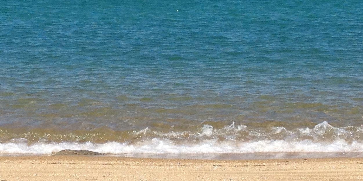 小走りなSaya banner