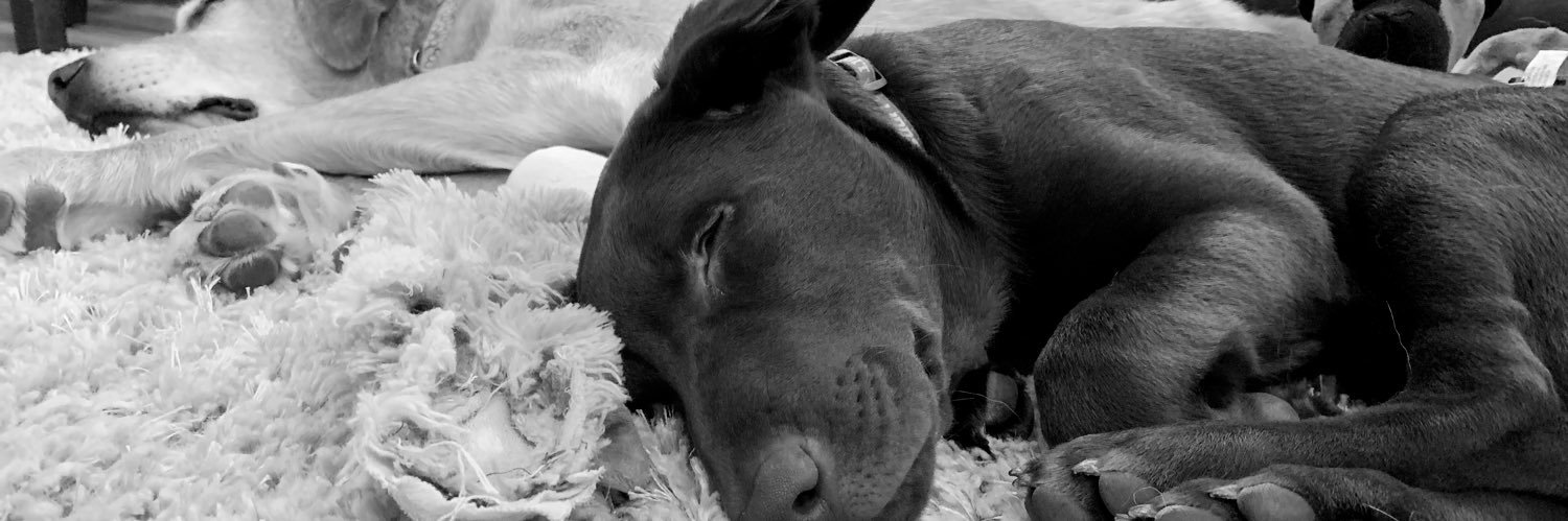 Jenna Pepper banner