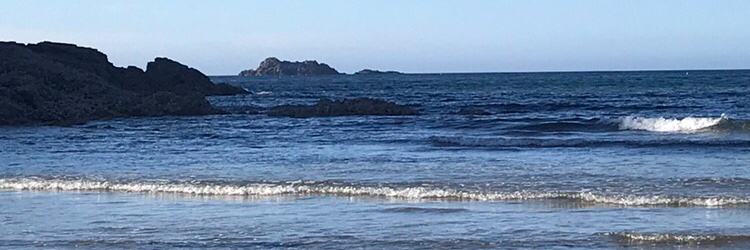 Sabine Madeleine D. 🎵 banner